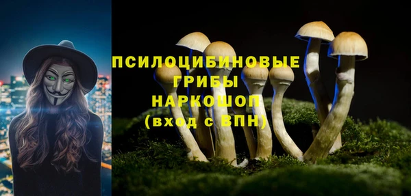 шишки Алексин