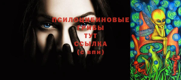 гашик Семикаракорск