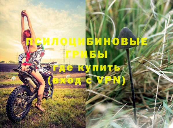 шишки Алексин