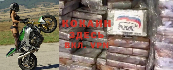 шишки Алексин