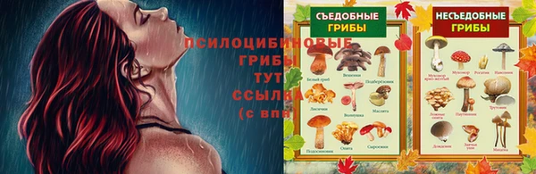 шишки Алексин