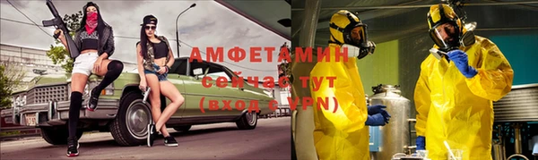 шишки Алексин