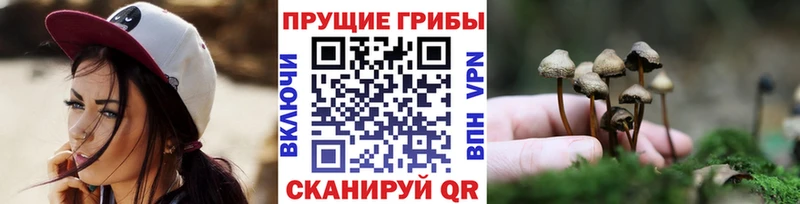 Галлюциногенные грибы ЛСД  Константиновск 
